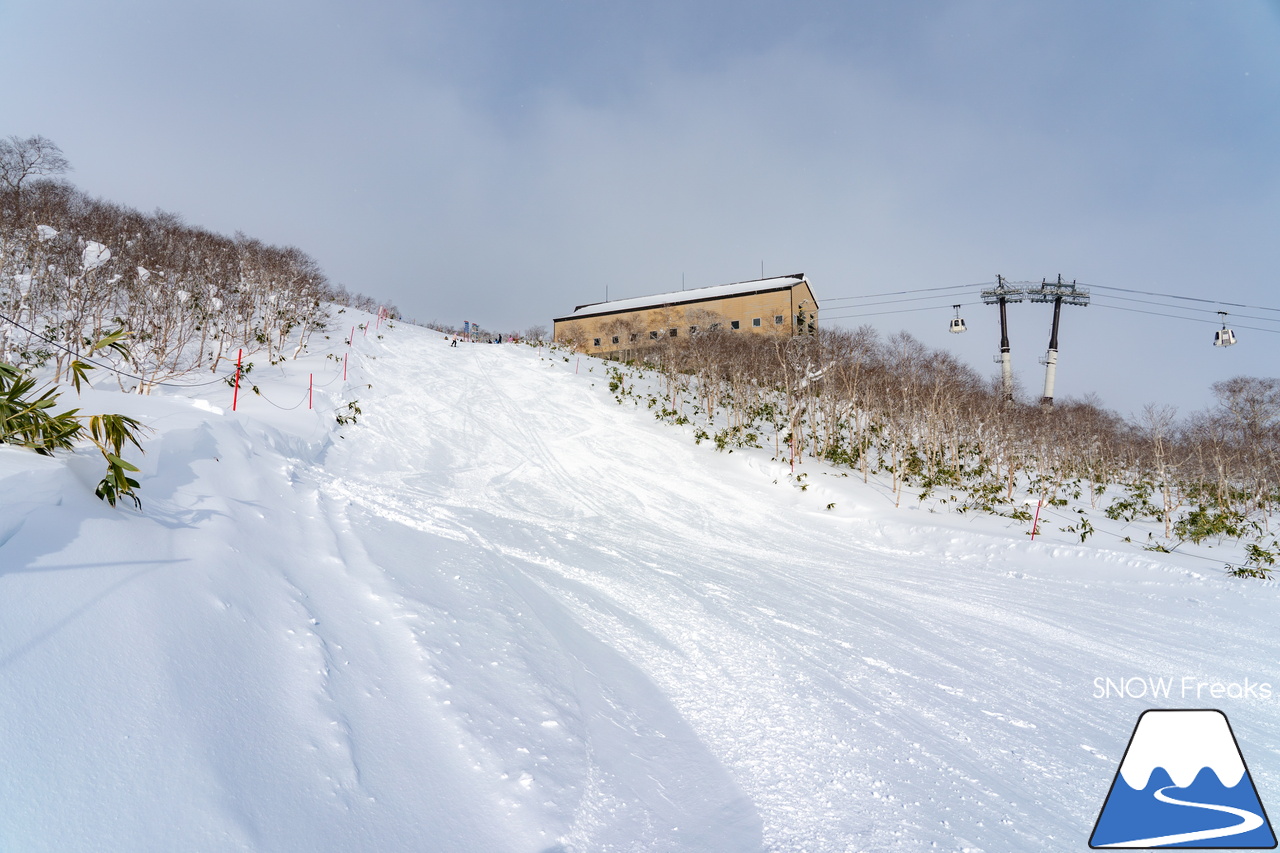 ニセコビレッジ｜Xmasと年末年始に間に合った！山頂気温「-18℃」。待望の寒波でパウダーシーズン到来(^^)/